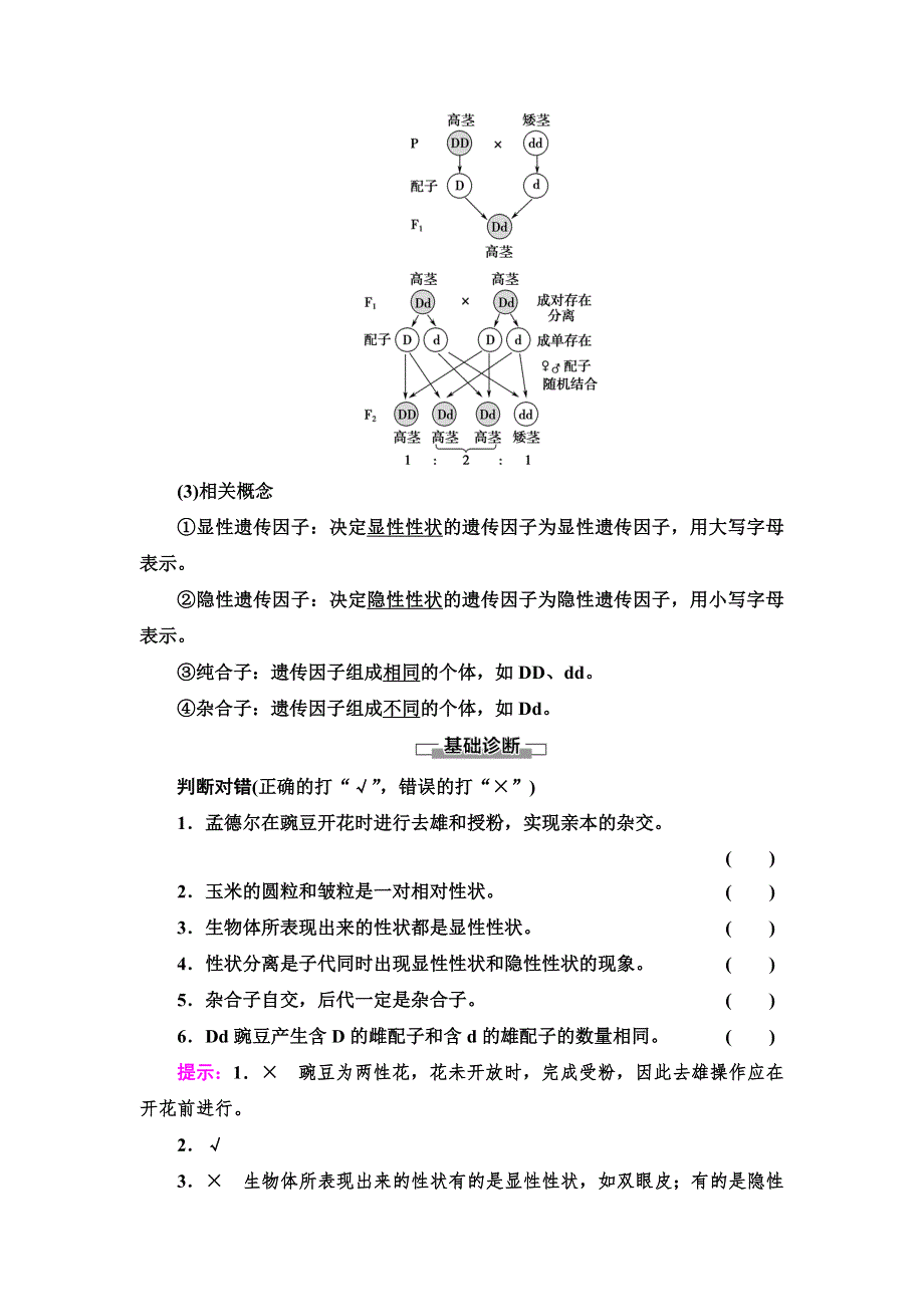 新教材2021-2022同步人教版生物学必修2学案：第1章 第1节　第1课时　一对相对性状的杂交实验过程和解释 WORD版含答案.doc_第3页