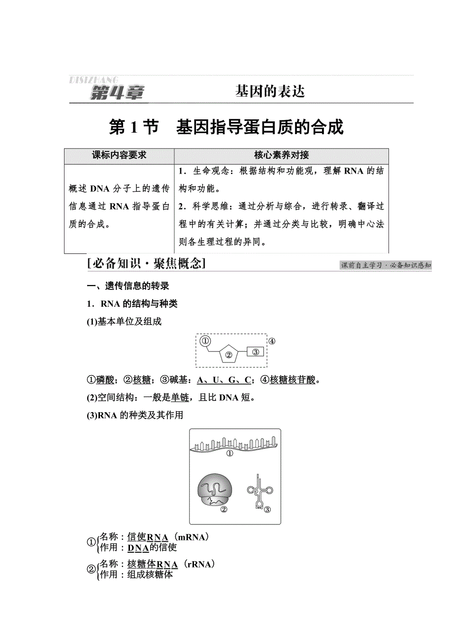 新教材2021-2022同步人教版生物学必修2学案：第4章 第1节　基因指导蛋白质的合成 WORD版含答案.doc_第1页