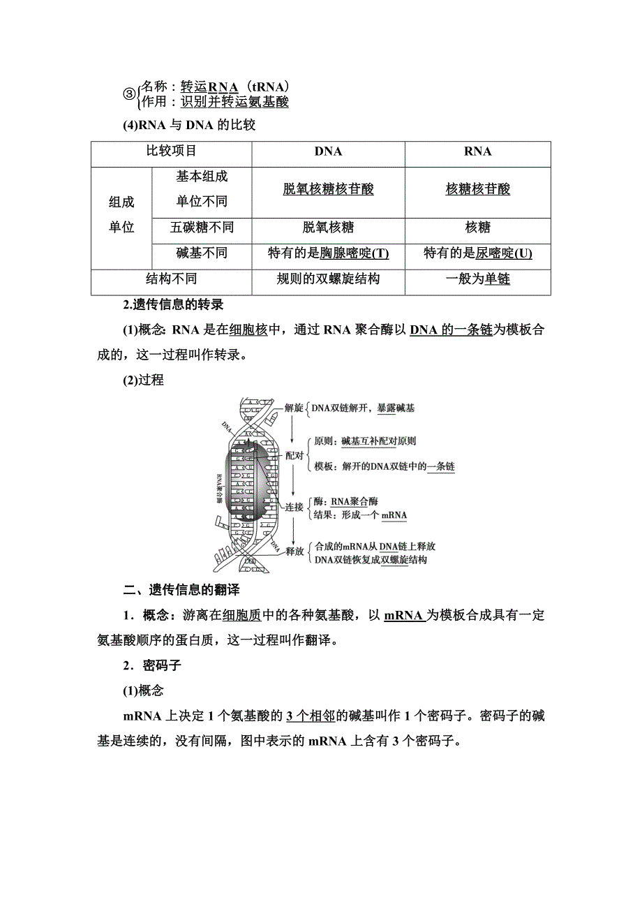 新教材2021-2022同步人教版生物学必修2学案：第4章 第1节　基因指导蛋白质的合成 WORD版含答案.doc_第2页