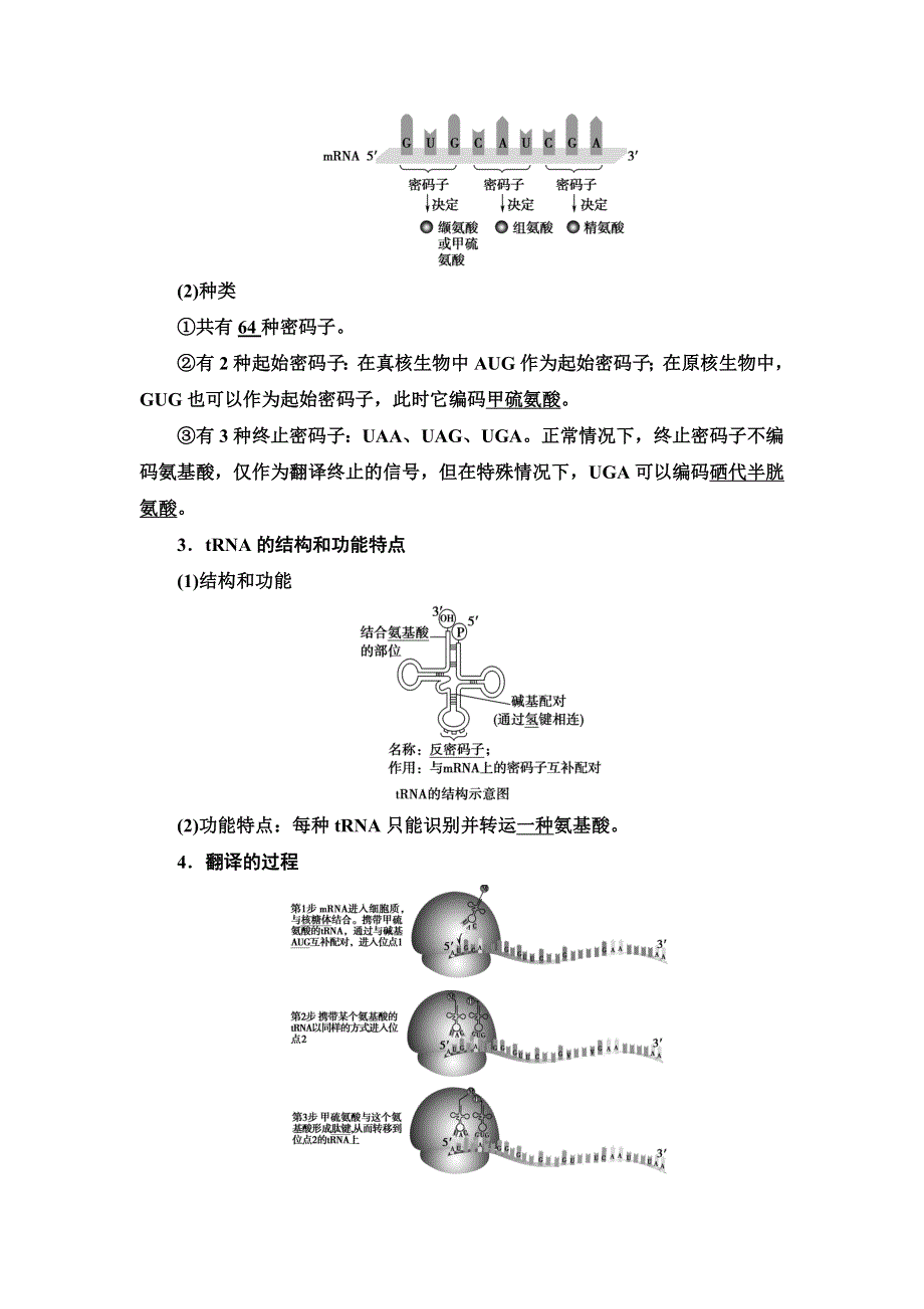 新教材2021-2022同步人教版生物学必修2学案：第4章 第1节　基因指导蛋白质的合成 WORD版含答案.doc_第3页