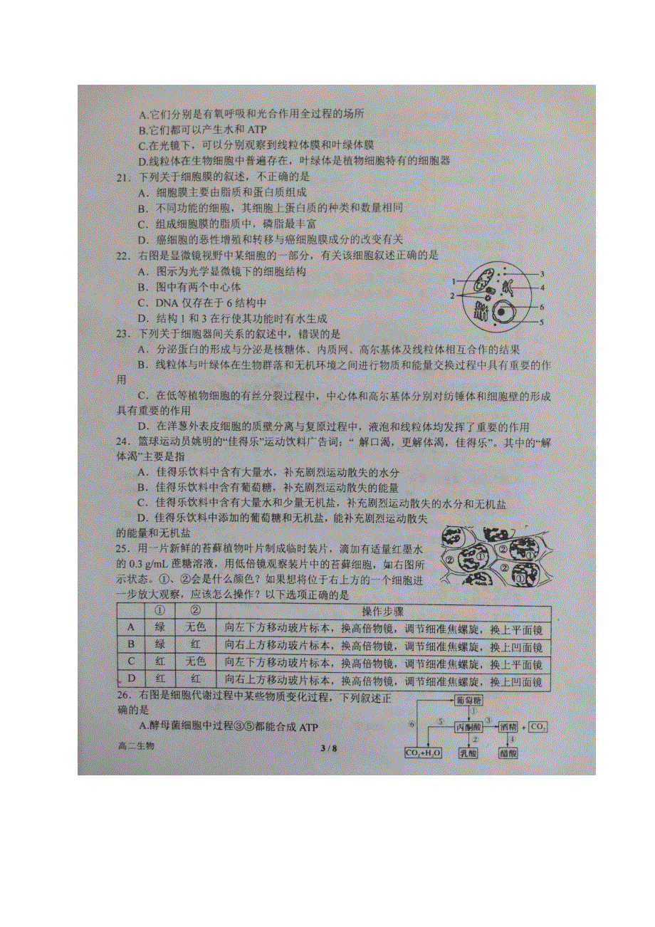 河南省南阳一中2019-2020学年高二下学期第二次月考（5月）生物试题 PDF版含答案.pdf_第3页