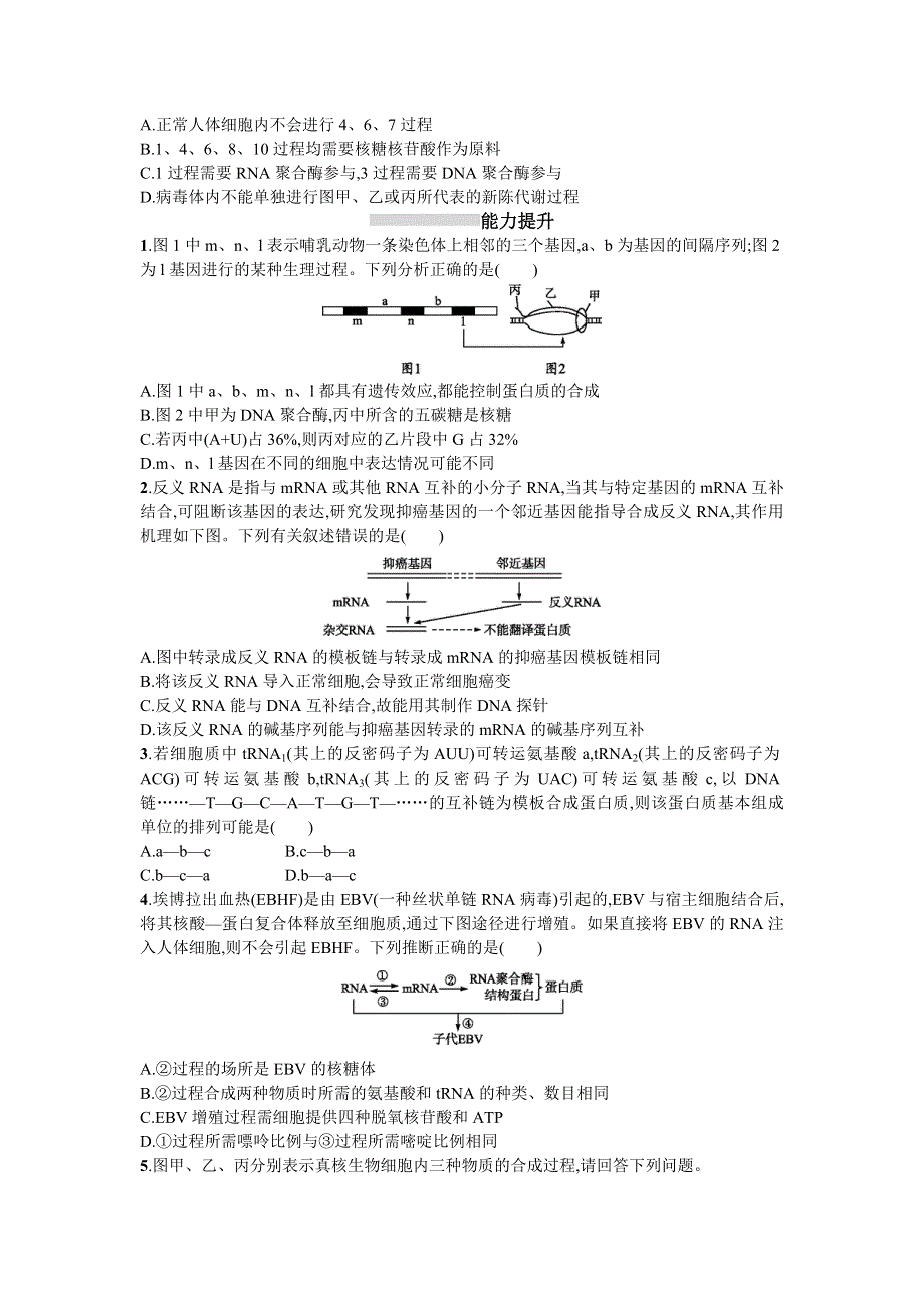 2019版高考生物一轮复习考点规范练20基因的表达 WORD版含答案.doc_第3页