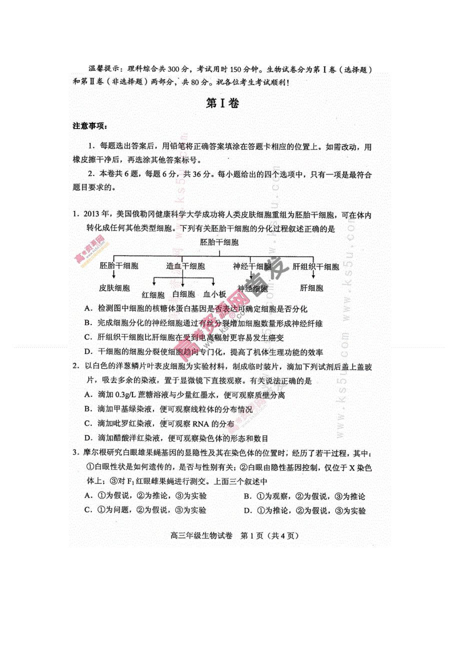 《首发2014和平四模》天津市和平区2014届高三第四次质量调查 生物 扫描版含答案.doc_第1页