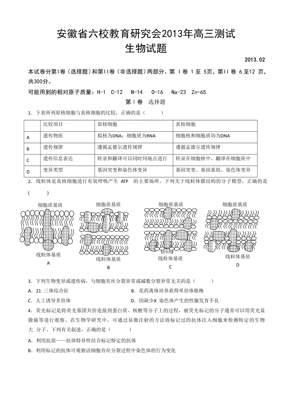 安徽省六校教育研究会2013届高三素质综合测试生物试题 WORD版含答案.doc_第1页