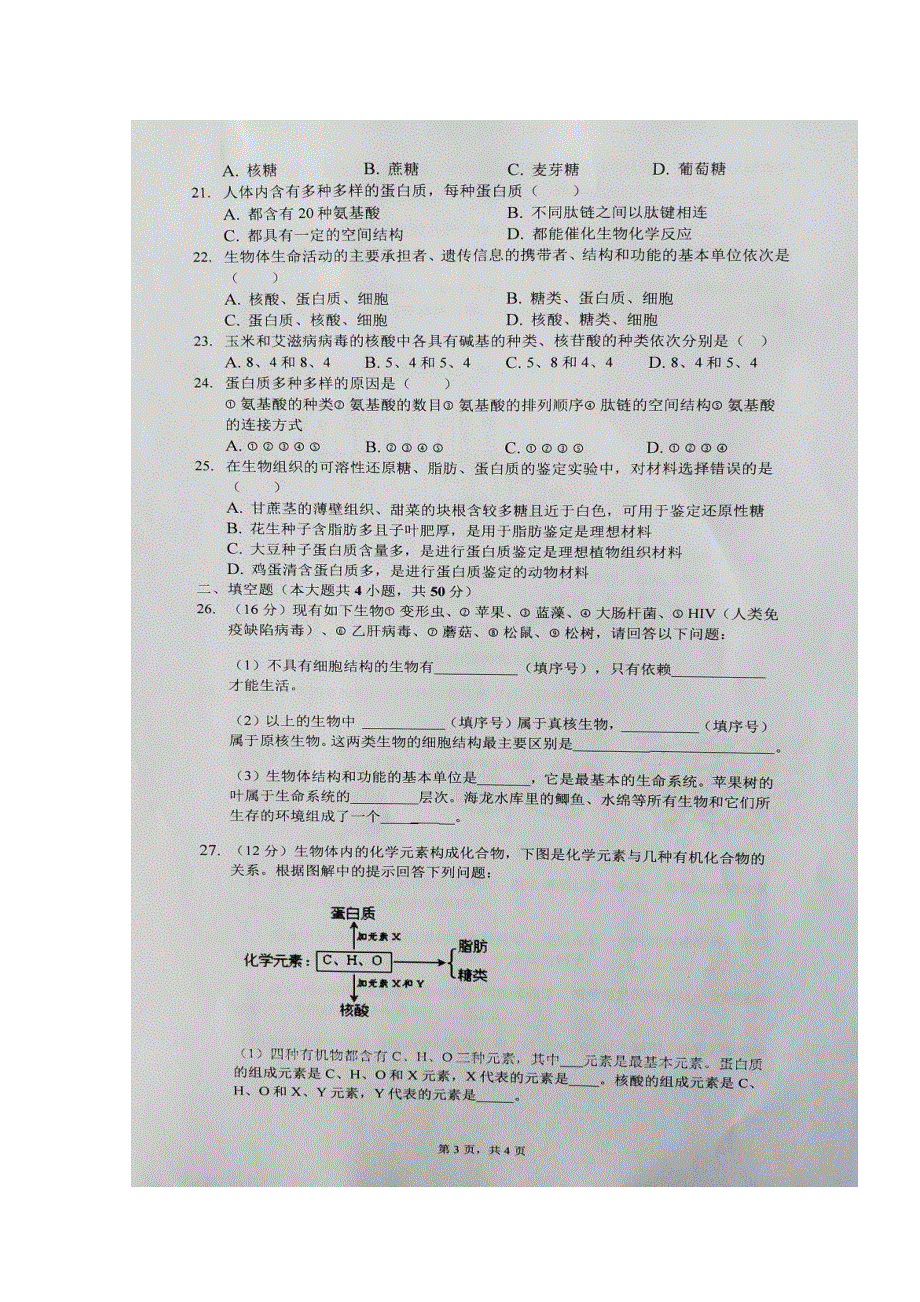 安徽省凤阳县第二中学2019-2020学年高一上学期期中考试生物试题 扫描版含答案.doc_第3页