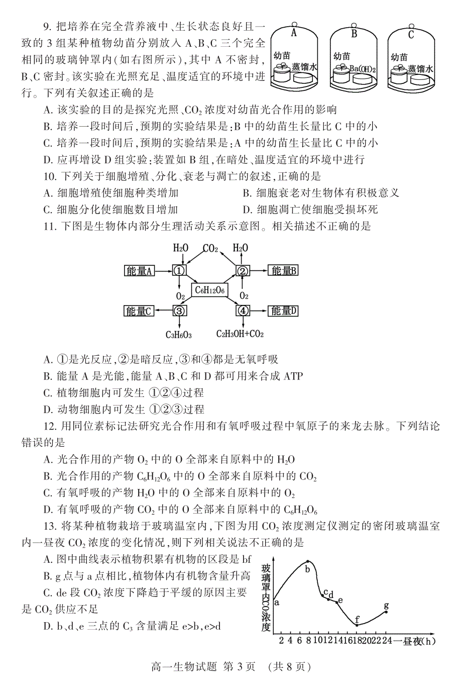 山东省泰安市2019-2020学年高一生物上学期期末考试试题（PDF）.pdf_第3页