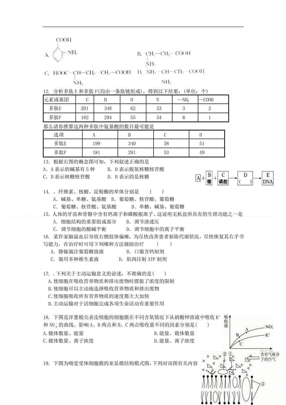 新疆乌鲁木齐市2012-2013学年高一生物上学期期末考试新人教版.doc_第2页