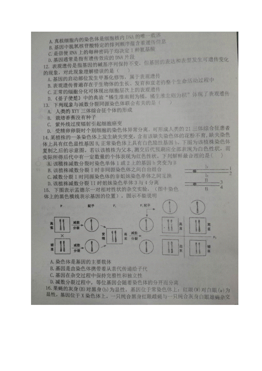 山东省菏泽市第一中学八一路校区2019_2020学年高一生物6月月考试题PDF.pdf_第3页