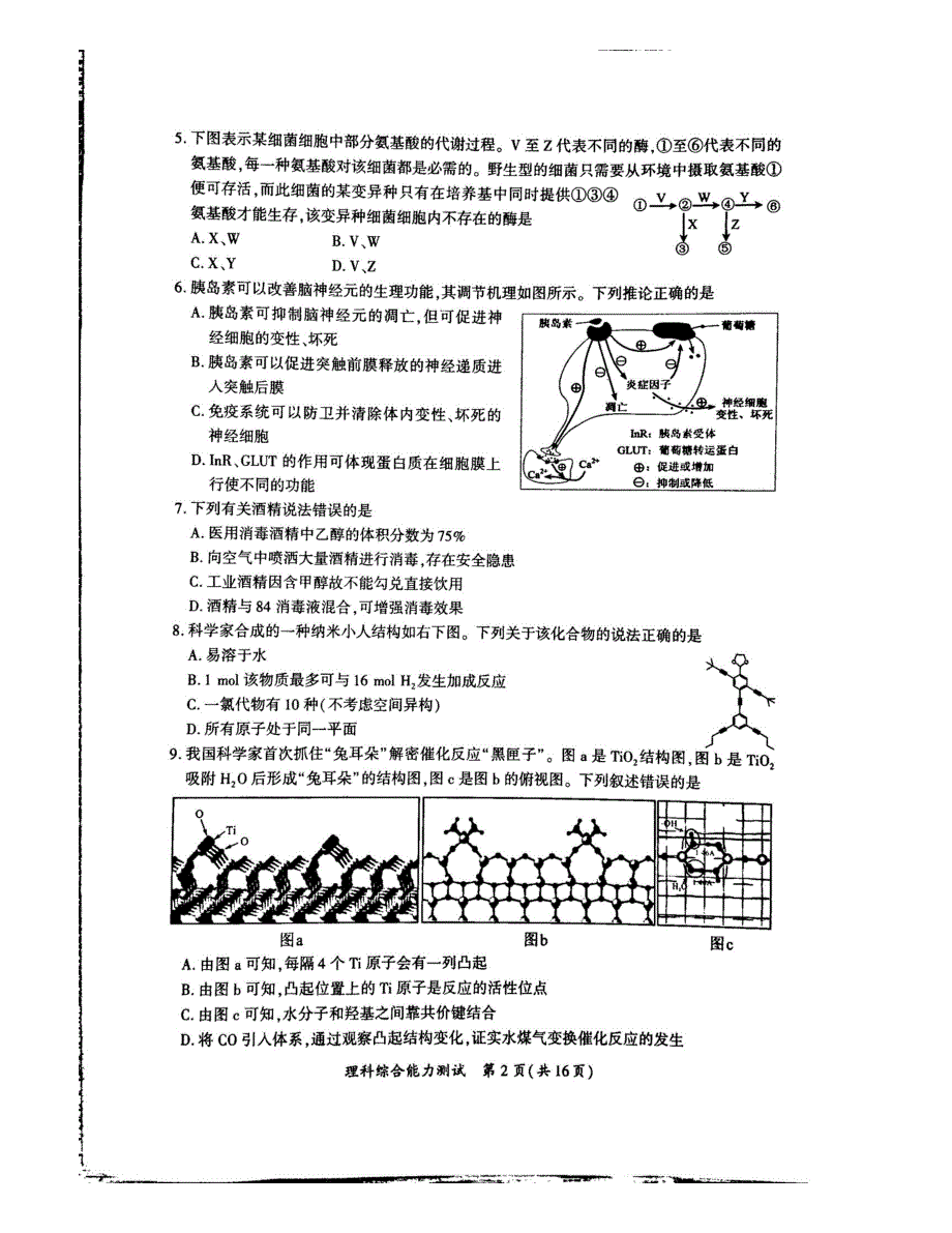 福建省厦门市2020届高三理综第一次质量检查试题（PDF）.pdf_第2页