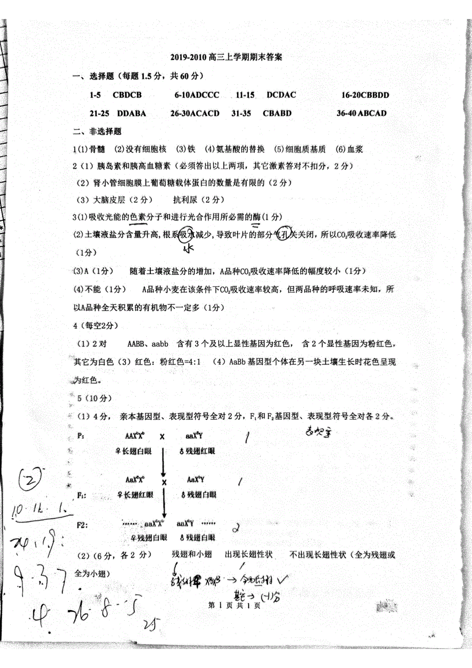 福建省福州第一中学2020届高三生物上学期期末考试试题（PDF）答案.pdf_第1页