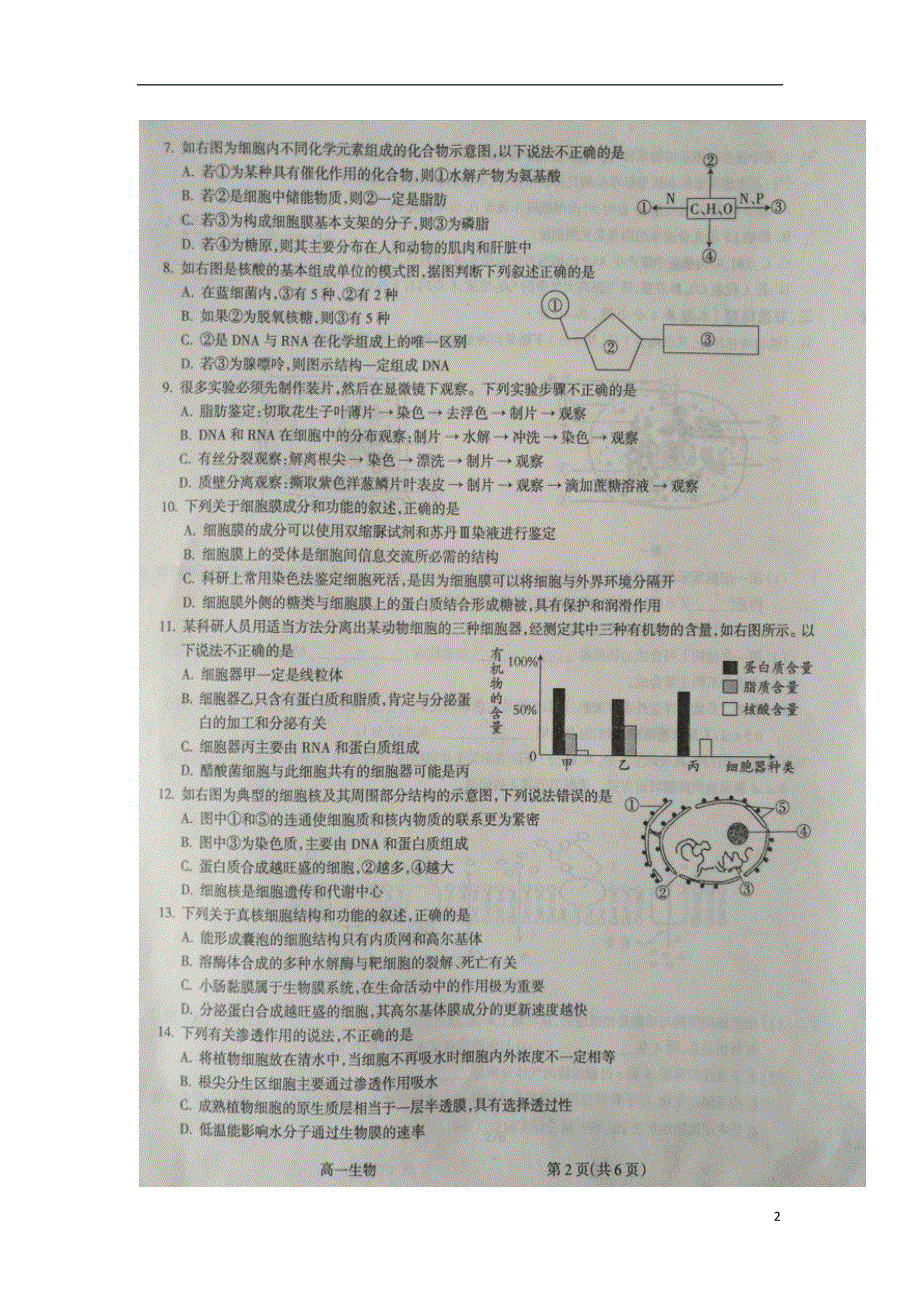 山西省吕梁市2019-2020学年高一生物上学期期末考试试题（扫描版）.doc_第2页