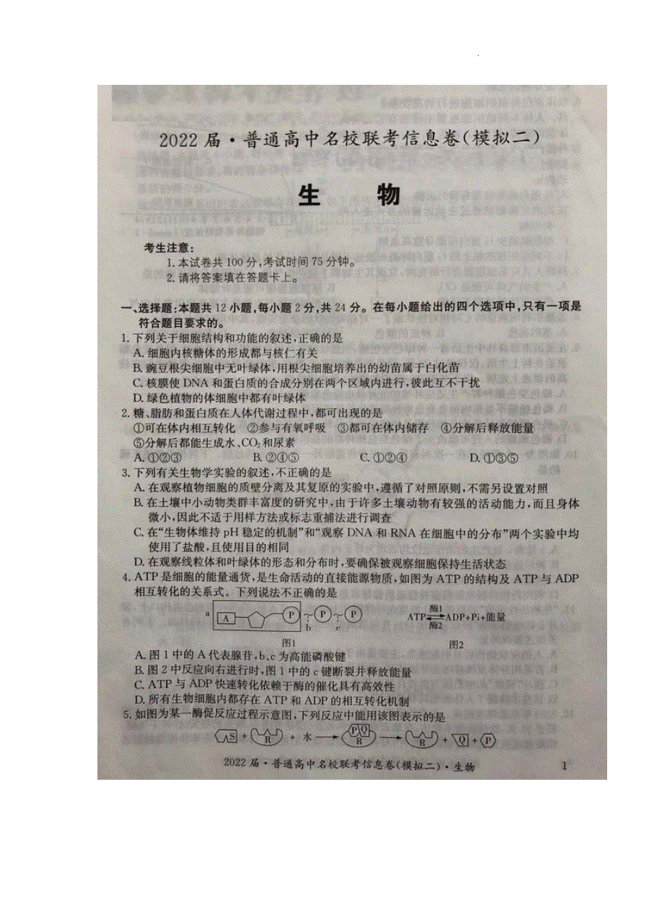 2022届高三生物普通高中名校联考信息卷（模拟二）试卷及答案（解析版）.pdf_第1页