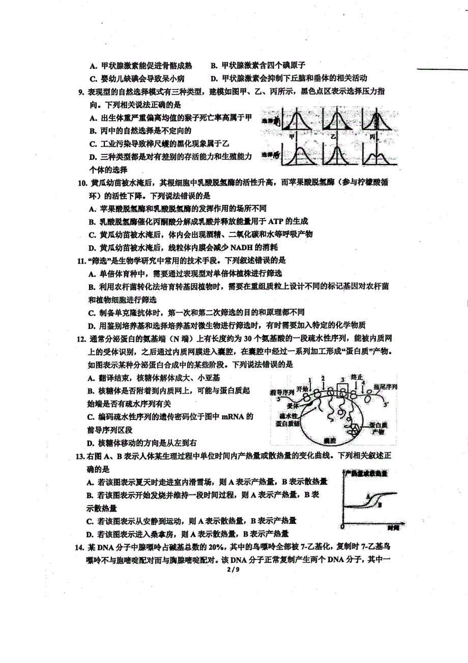 浙江省镇海中学2022届高三生物5月高考模拟试卷（PDF版附答案）.pdf_第2页