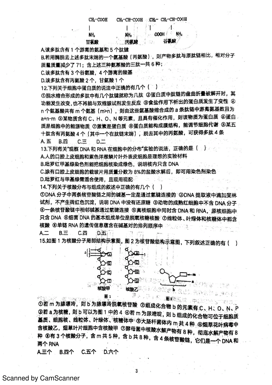 淮北一中2017--2018学年度高一年级第一学期第三次考试生物.pdf_第3页