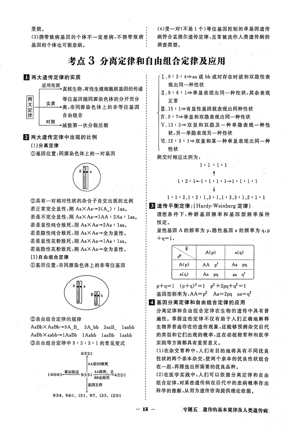 2021年高考生物二轮复习核心考点备查专题5遗传的基本规律及人类遗传病素材PDF新人教版.pdf_第2页