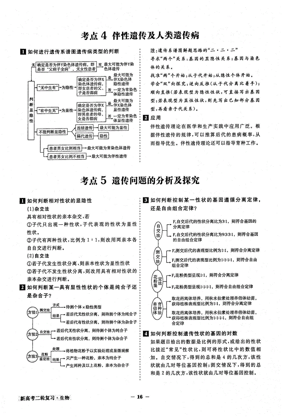 2021年高考生物二轮复习核心考点备查专题5遗传的基本规律及人类遗传病素材PDF新人教版.pdf_第3页