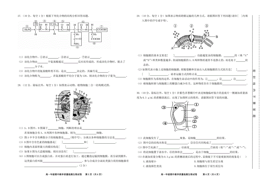 安徽省合肥市第十一中学2019-2020学年高一生物上学期期中试题（PDF）.pdf_第3页