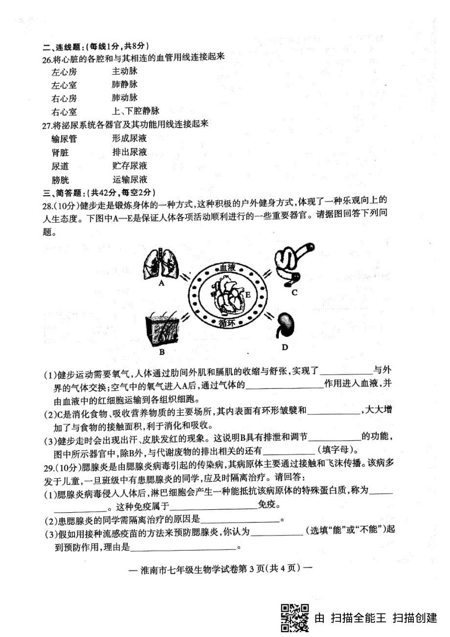 安徽省淮南市2017-2018学年七年级生物下学期期末试题（pdf） 新人教版.pdf_第3页