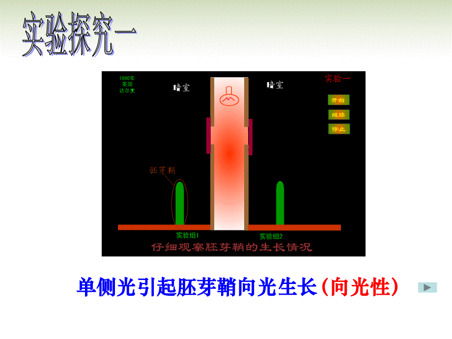 陕西省汉中市陕飞二中高中生物《生长素的发现》课件 新人教版选修3.ppt_第3页