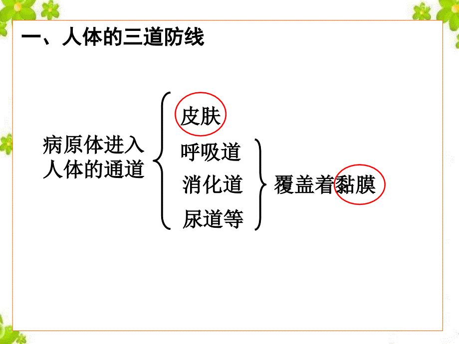 鲁教版五四制七年级生物下第五单元第一章第二节免疫与计划免疫教学课件.ppt_第3页