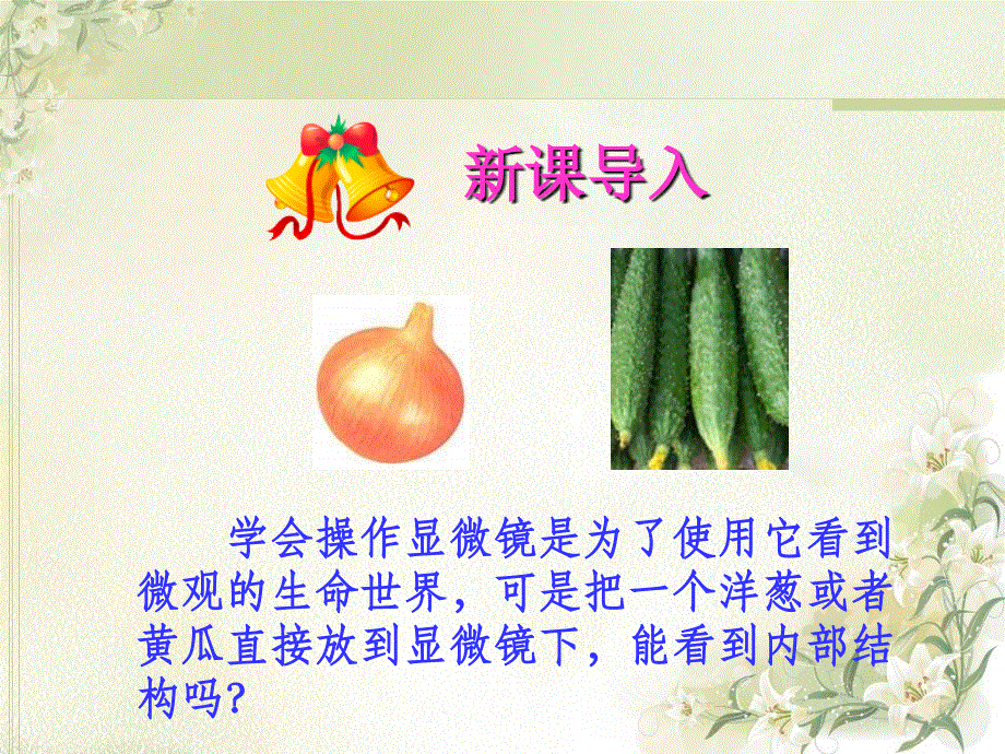 鲁科版六年级上册生物2.1.2《观察植物细胞》课件(共27张PPT).ppt_第1页