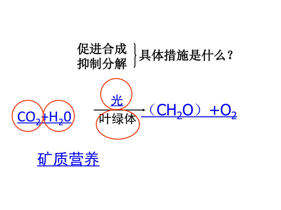 黑龙江省哈尔滨2014年高考研讨会生物资料：粮食产量增产问题.ppt_第3页