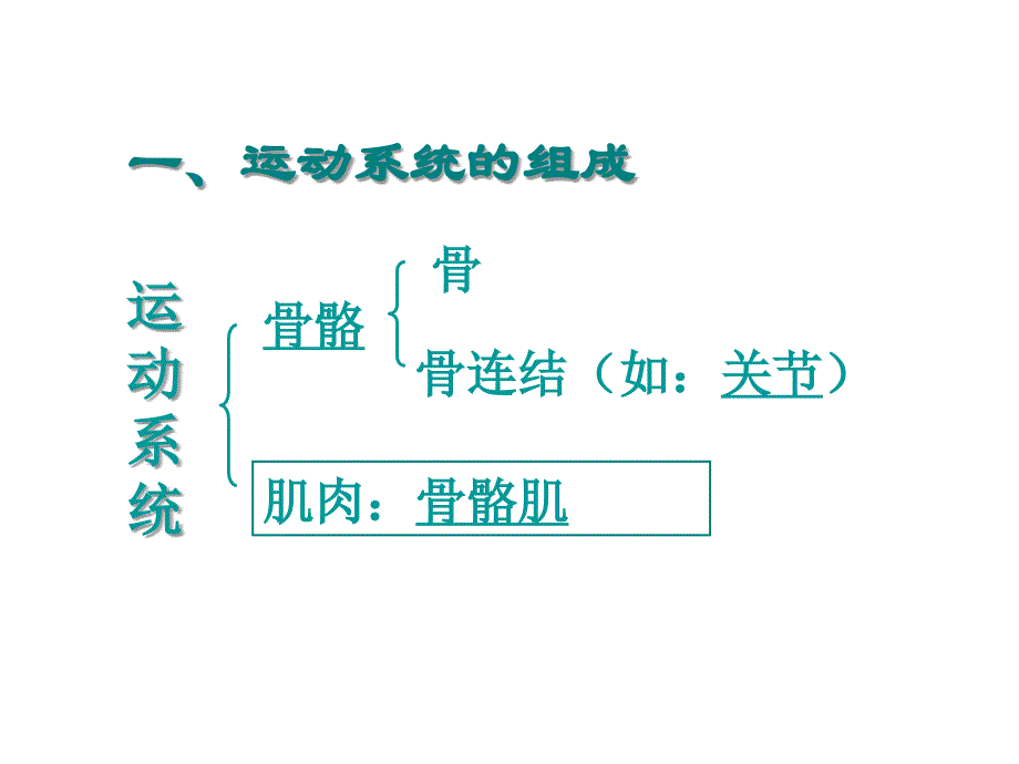 鲁科版生物八年级上册7.2.1《动物的运动》课件(共17张PPT).ppt_第3页