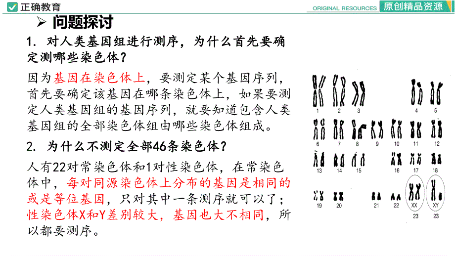 2-2 基因在染色体上.pptx_第2页