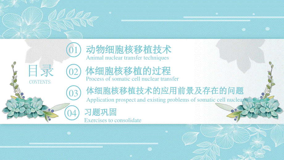 2-2-3 动物体细胞核移植技术和克隆动物 课件2021-2022学年高二下学期生物人教版选择性必修3.pptx_第2页