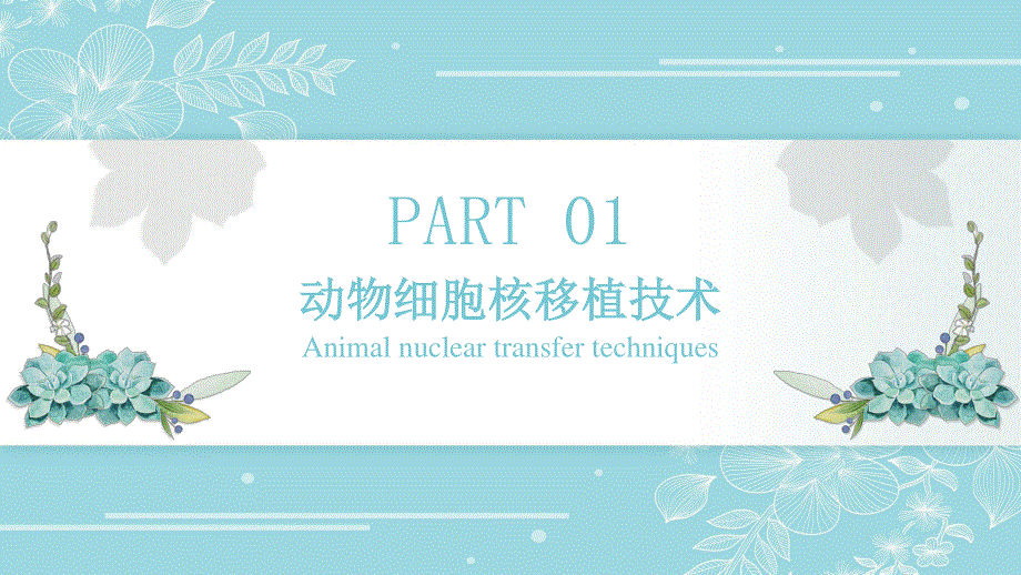 2-2-3 动物体细胞核移植技术和克隆动物 课件2021-2022学年高二下学期生物人教版选择性必修3.pptx_第3页