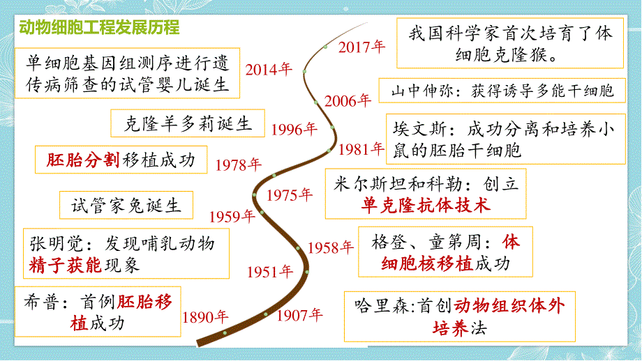 2-2-1 动物细胞培养 课件-2021-2022学年高二下学期生物人教版（2019）选择性必修3.pptx_第1页