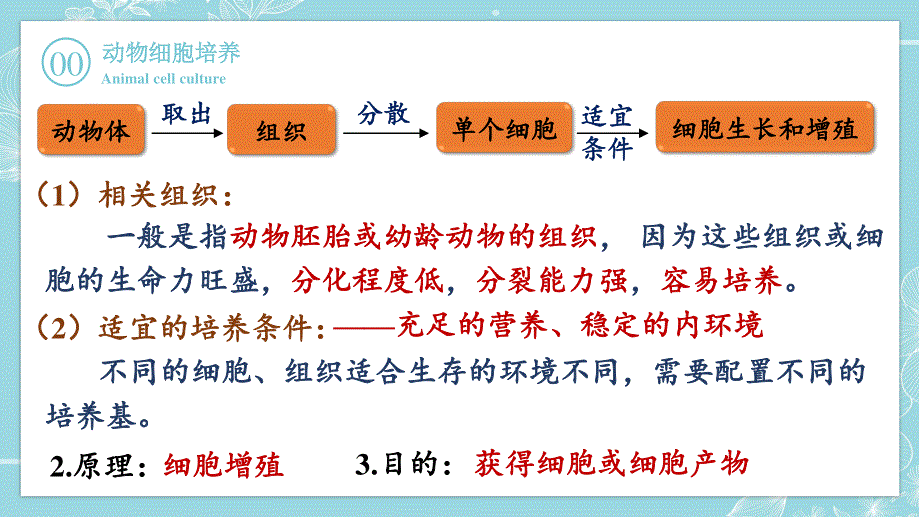 2-2-1 动物细胞培养 课件-2021-2022学年高二下学期生物人教版（2019）选择性必修3.pptx_第3页