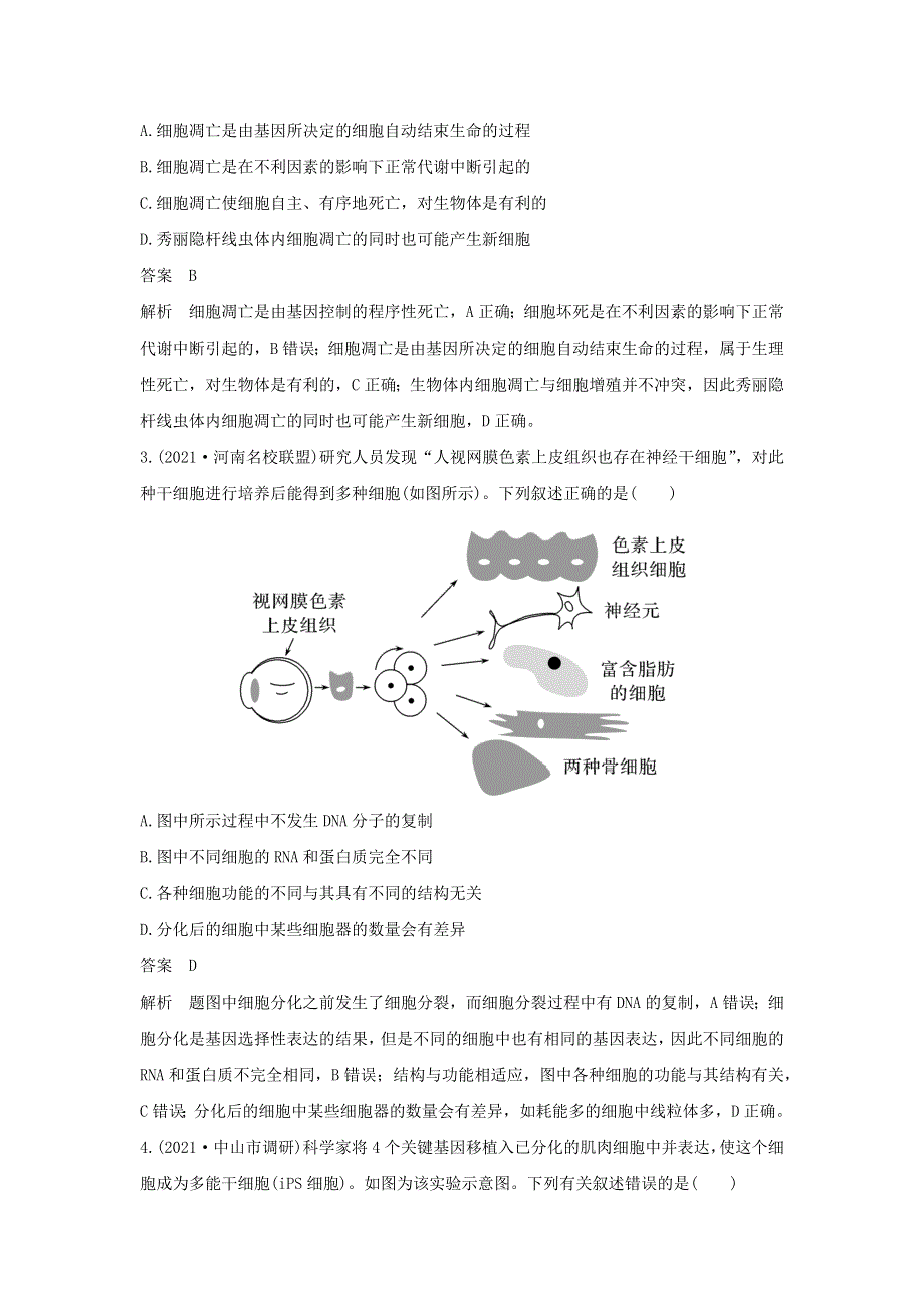 (新高考版)高考生物30个热点微练14　细胞分化、衰老、死亡与人体健康.docx_第2页