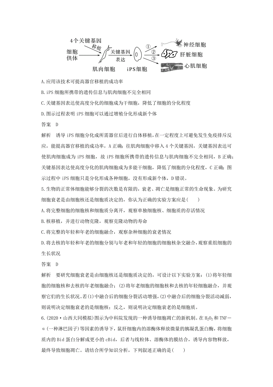 (新高考版)高考生物30个热点微练14　细胞分化、衰老、死亡与人体健康.docx_第3页