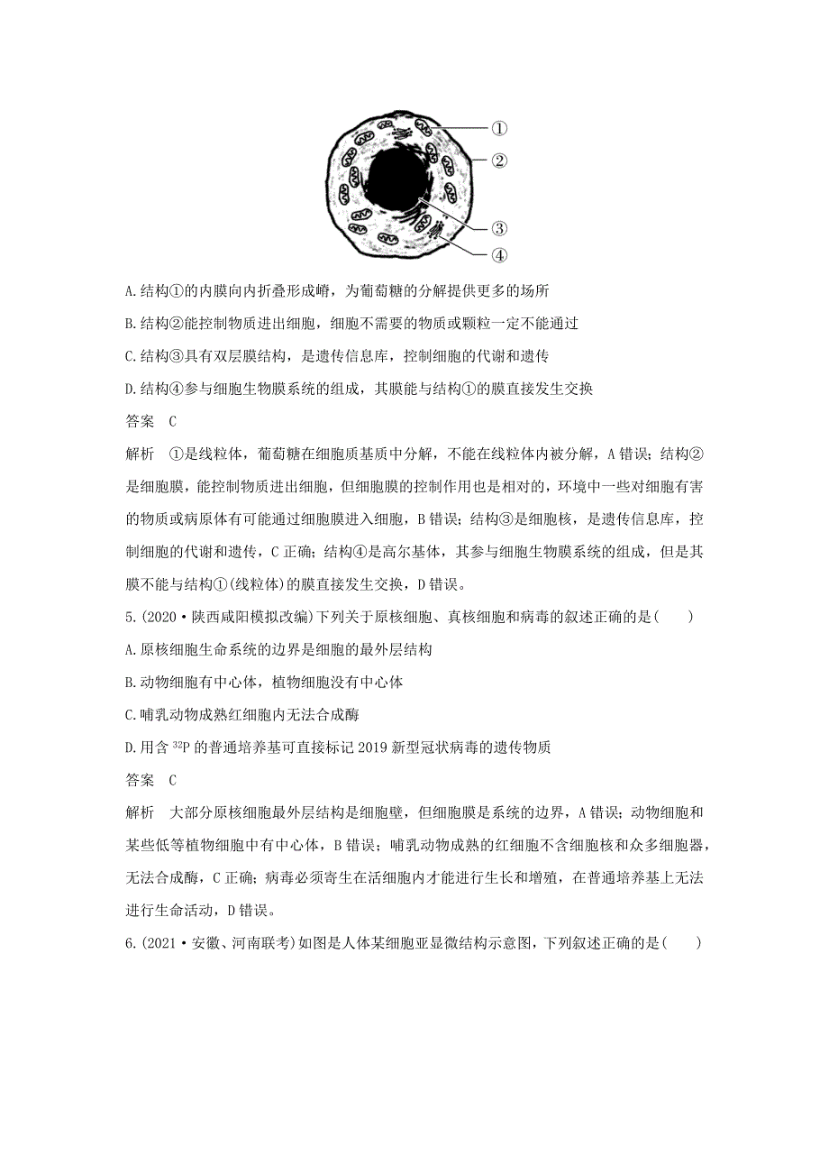 (新高考版)高考生物30个热点微练4　突破细胞的结构与功能.docx_第3页