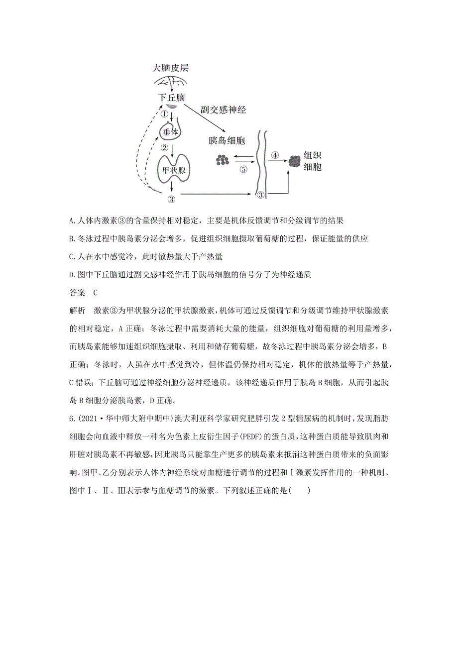 (新高考版)高考生物30个热点微练23　血糖调节.docx_第3页