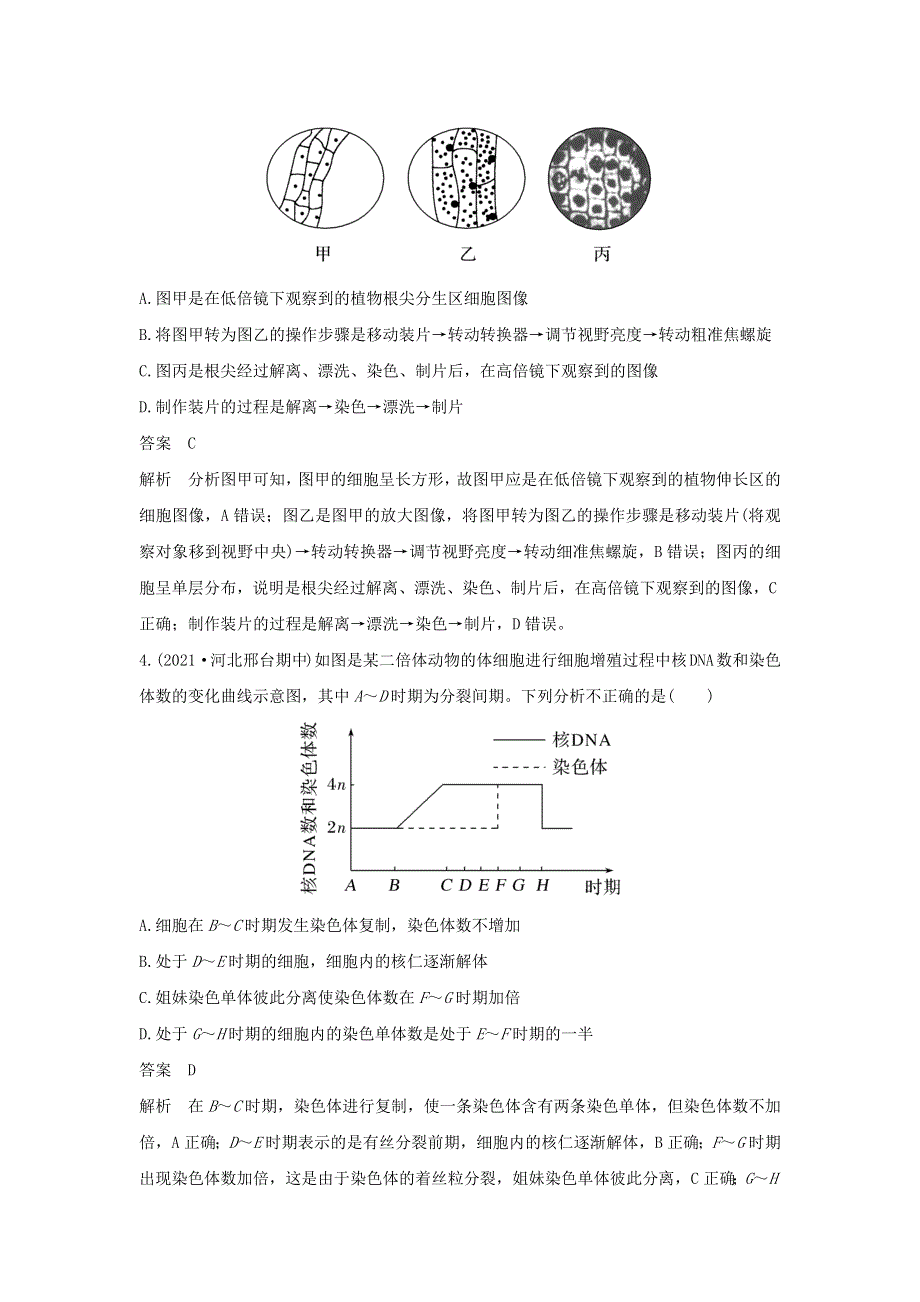 (新高考版)高考生物30个热点微练12　细胞周期中各分裂时期的判断.docx_第3页