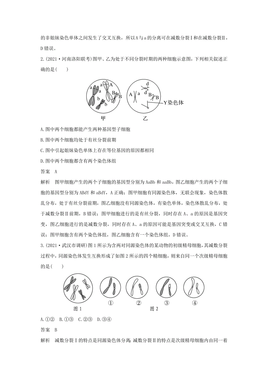 (新高考版)高考生物30个热点微练13　细胞分裂图像中变异类型的判断.docx_第2页