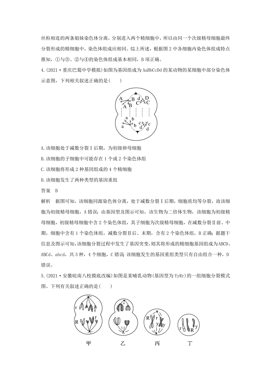 (新高考版)高考生物30个热点微练13　细胞分裂图像中变异类型的判断.docx_第3页