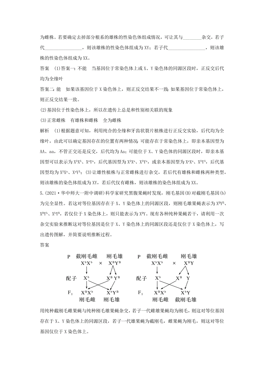 (新高考版)高考生物30个热点微练18　基因位置的判断.docx_第3页