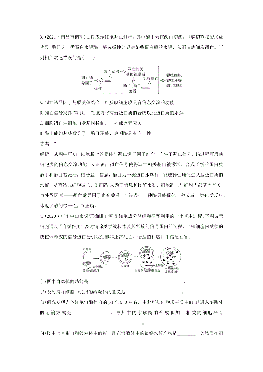 (通用版)高考生物22微专题09细胞自噬与细胞凋亡专题.docx_第3页