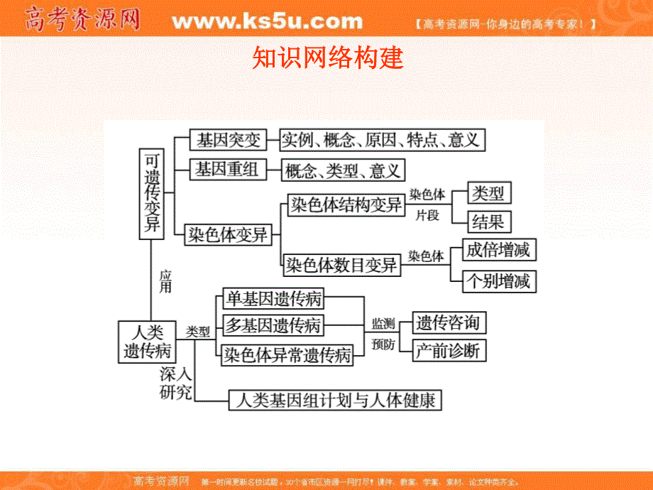 2012一轮精品课件：生物人教版必修二第5章 基因突变及其他变异.ppt_第3页