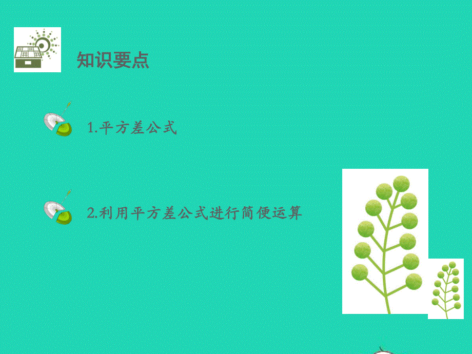 七年级数学下册 第一章 整式的整除 5 平方差公式教学课件 （新版）北师大版.pptx_第2页