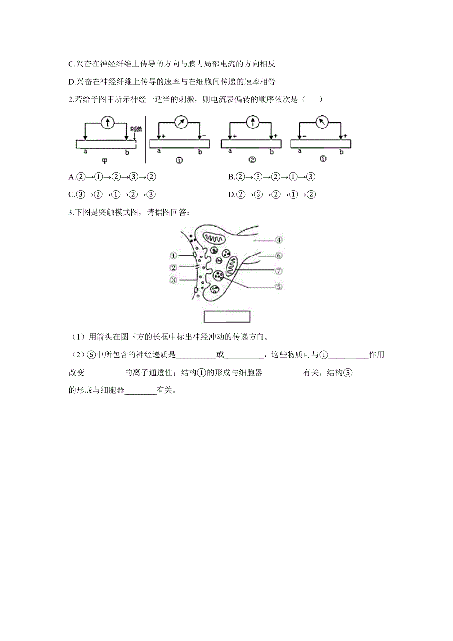 2-3神经冲动的产生和传导—2022-2023学年高二生物人教版（2019）选择性必修一课前导学 WORD版.doc_第3页