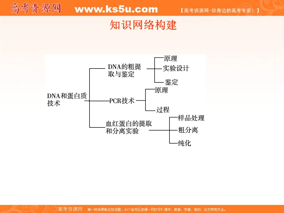 2012一轮精品课件：生物人教版选修1专题5 DNA和蛋白质技术.ppt_第3页