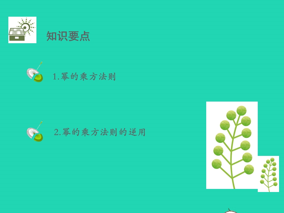 七年级数学下册 第2章 整式的乘法2.pptx_第2页