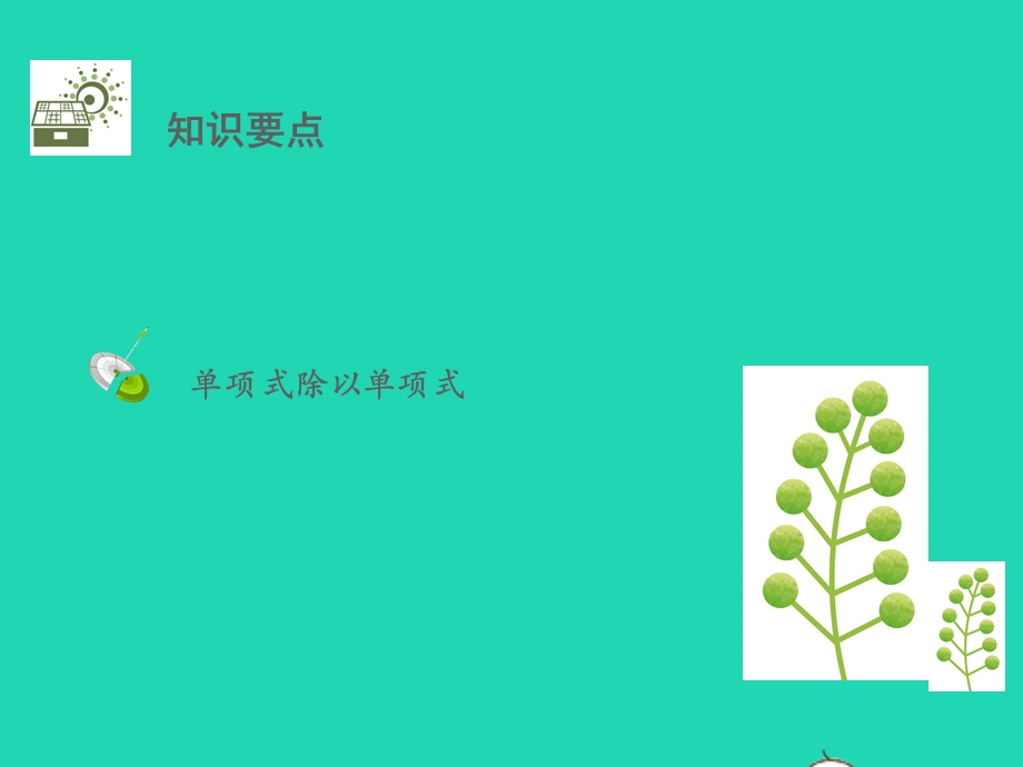 七年级数学下册 第一章 整式的整除 7 整式的除法第1课时 单项式除以单项式教学课件 （新版）北师大版.pptx_第2页