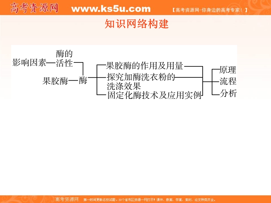 2012一轮精品课件：生物人教版选修1专题4 酶的研究与应用.ppt_第3页