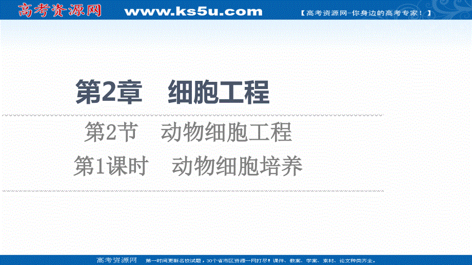 2021-2022同步新教材人教版生物选择性必修3课件：第2章 第2节 第1课时　动物细胞培养 .ppt_第1页