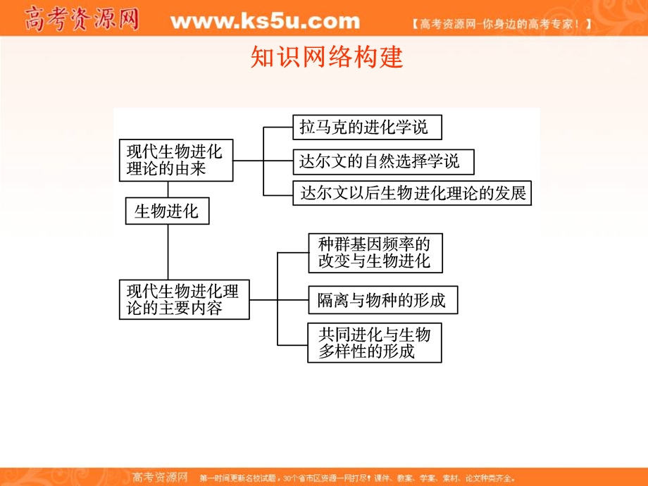 2012一轮精品课件：生物人教版必修二第7章 现代生物进化理论.ppt_第3页